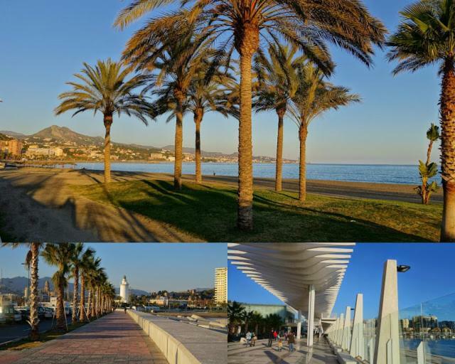 Malagueta Beach Studio Appartamento *